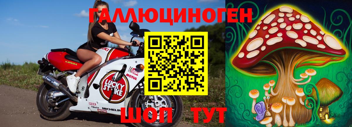 Псилоцибиновые грибы Psilocybe Пугачёв