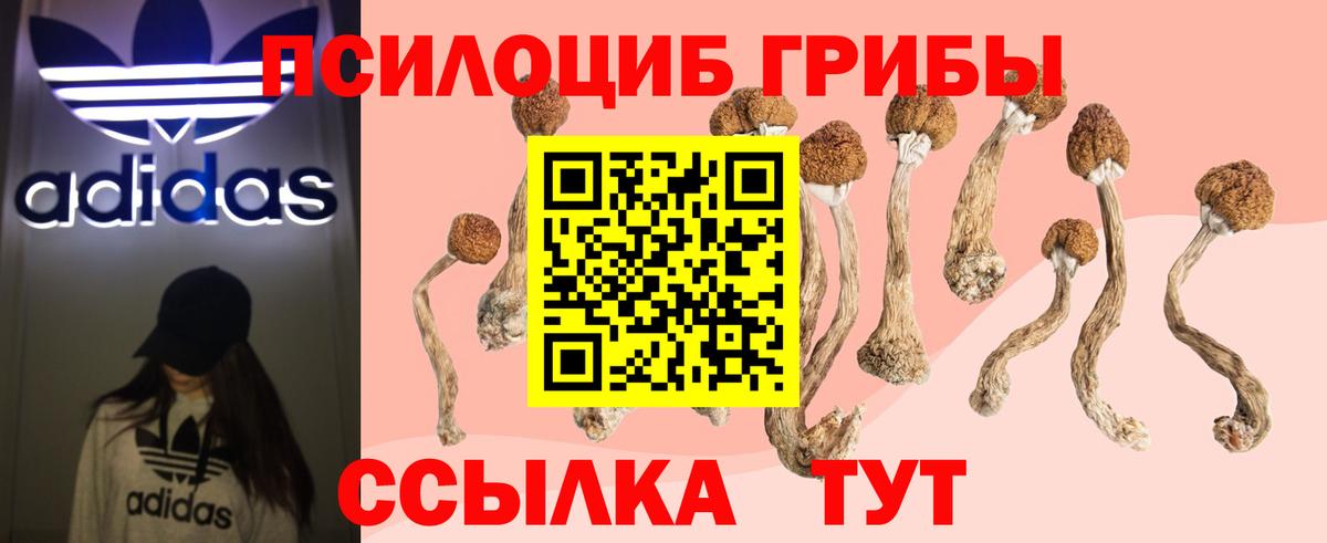 Псилоцибиновые грибы MAGIC MUSHROOMS  купить наркотики цена  Галлюциногенные грибы прущие грибы  Пугачёв  Вход с VPN 